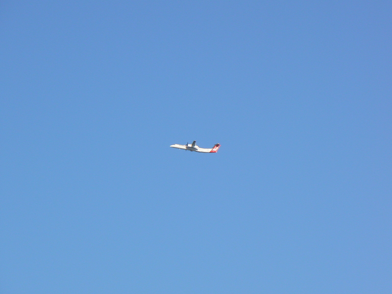 A QANTAS aeroplane was taking off from Canberra Airport at the time, and I had a clear photo of it from the path intersection.