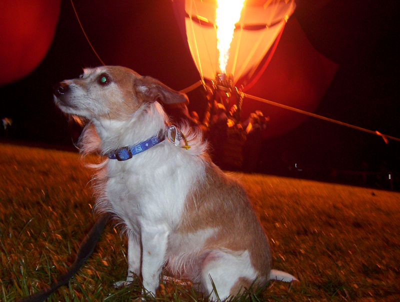 Nattie at the 2005 Canberra Balloon Fiesta
