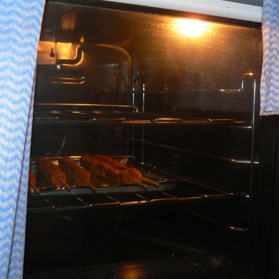 Earth Hour 2008: As was the light in the oven, which was cooking dinner at the time