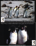 Some of Tux's Antarctic cousins are helping advertise LCA 2006. It could become a law firm "Linus, Linus, Tux and associates"
