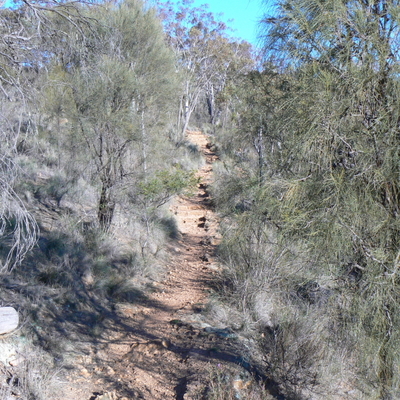 This path is narrow, rocky, and has lots of little steps