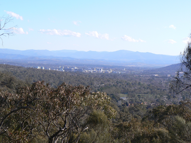 If you look carefully, you can see a mobile phone tower to the centre-left of this photo. Civic is in the distance, Mount Ainlie rising to the left, and Black Mountain rising towards the right.