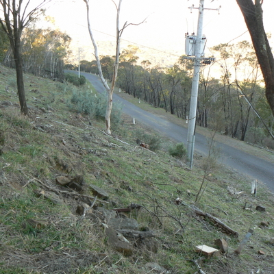The road up Mount Majura, and the transformer feeding power to the radar complex.
The area is quite steep, and despite appearances, there is a small cliff between the grass I'm standing on and the road.