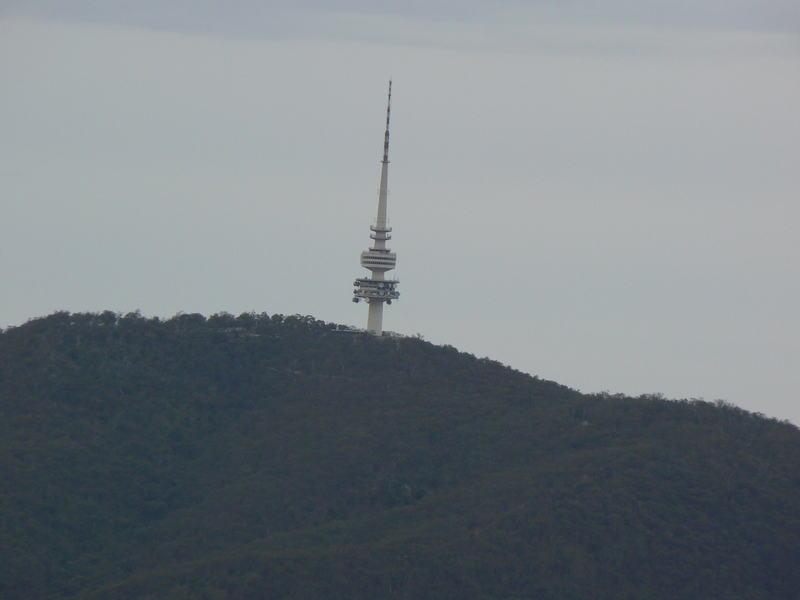 Telstra Tower and Black Mountain, on a slight angle