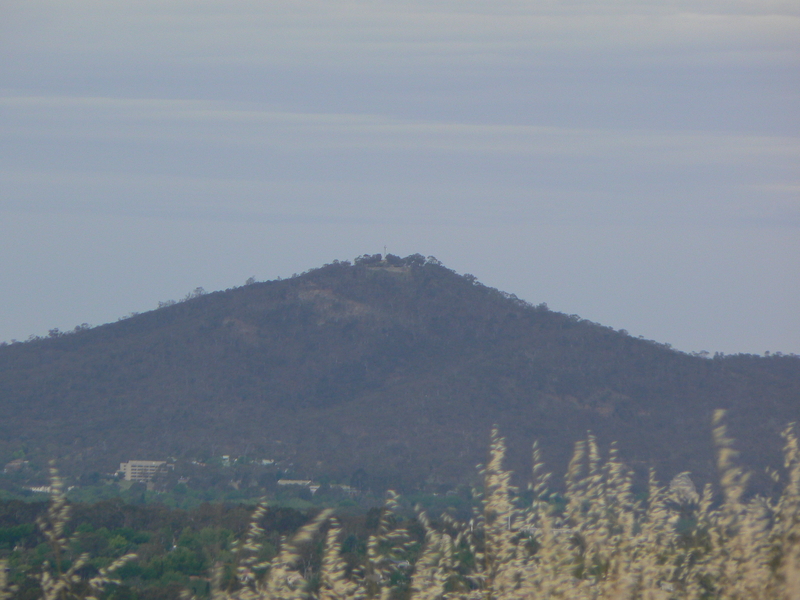 Mount Ainslie from Oakey Hill