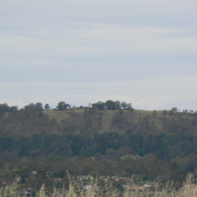 Red Hill from Oakey Hill