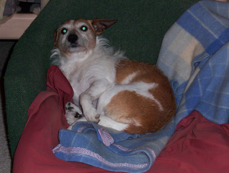 Nattie in one of her beds, circa 2005.